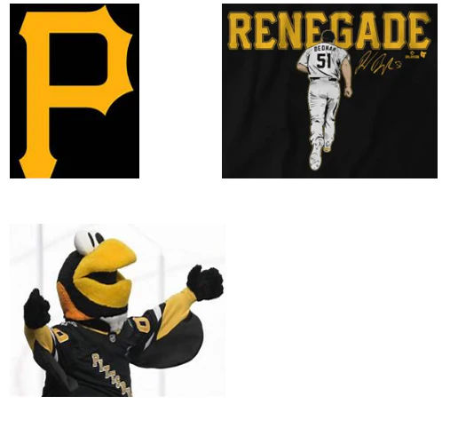 Custom MiskinisGabrielle Pittsburgh Dunk Shoes