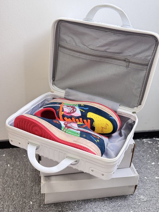 Diysneakers Portable Shoe Luggage - Best Gift Choice For Gift Giving