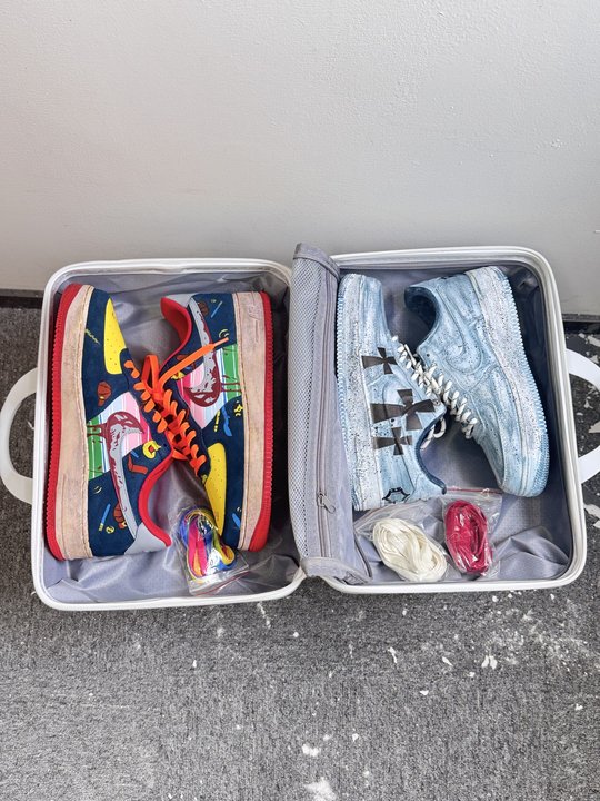 Diysneakers Portable Shoe Luggage - Best Gift Choice For Gift Giving