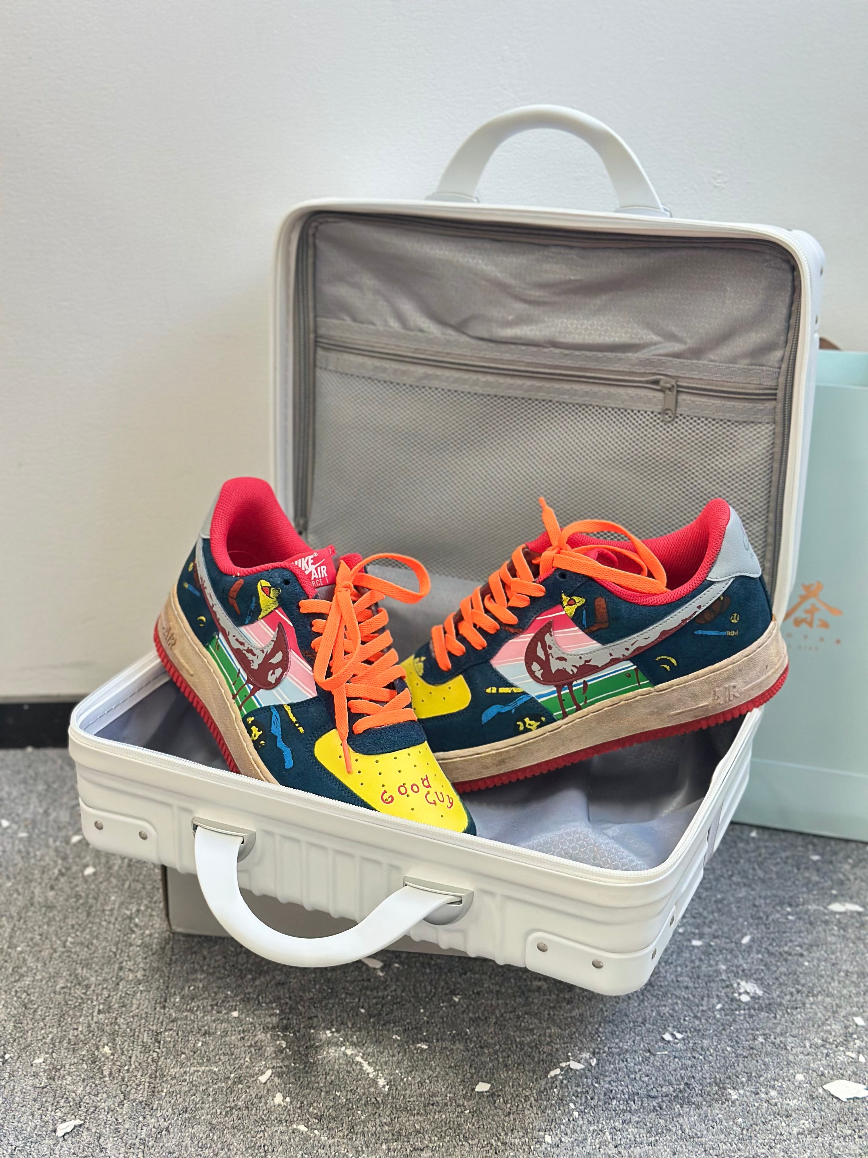 Diysneakers Portable Shoe Luggage - Best Gift Choice For Gift Giving